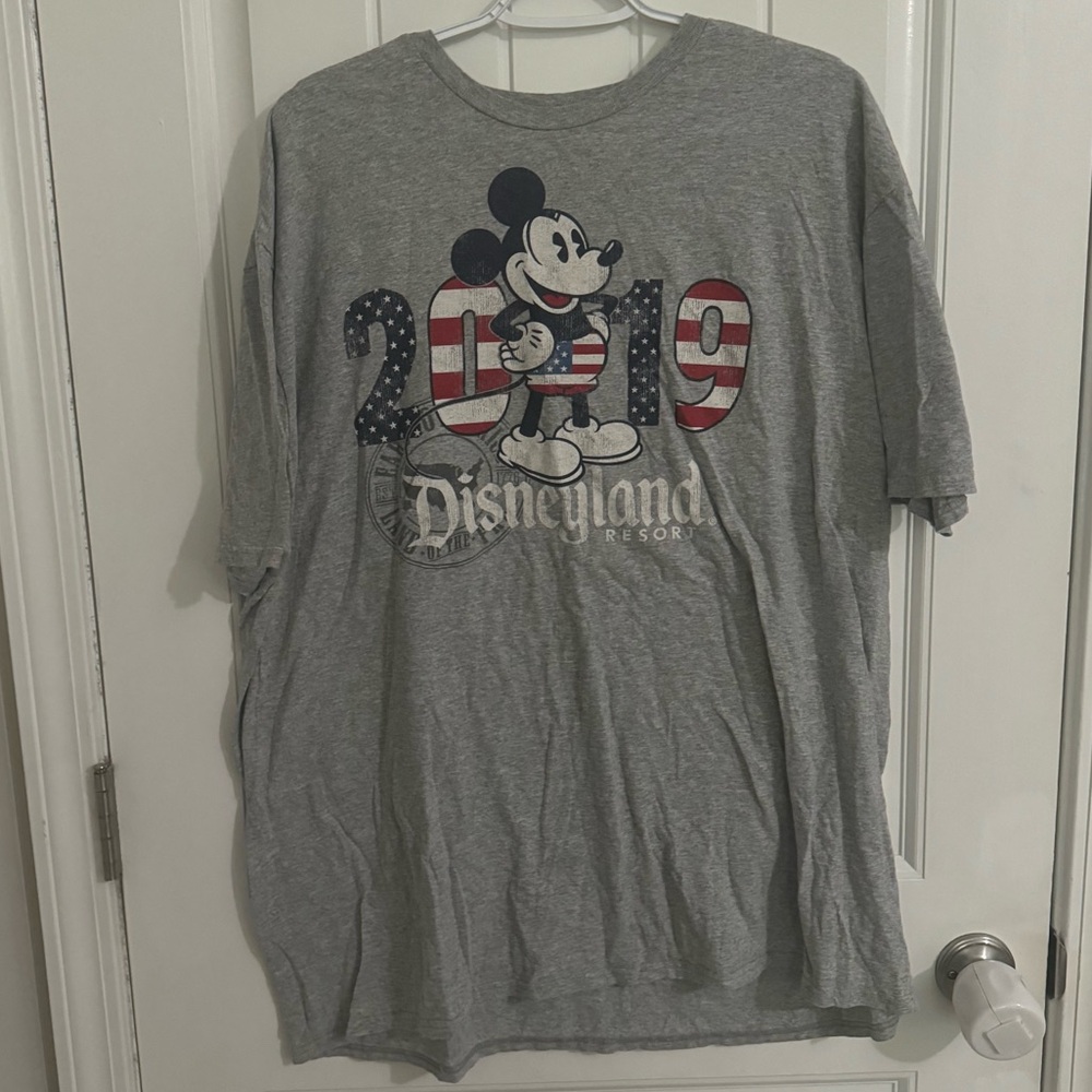 Disneyland 2019 American Flag Tee Shirt